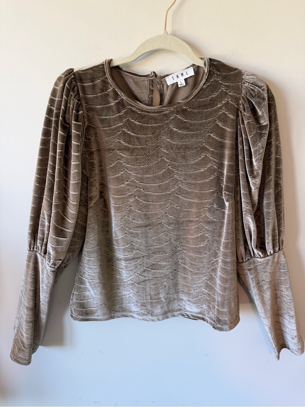 THML Taupe Velvet Puff Balloon Sleeve Blouse Top
